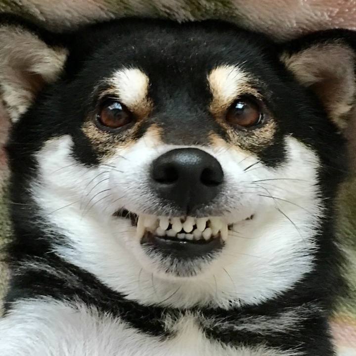 F1df64c4 8b41 4380 aa01 86d8f707bbf0