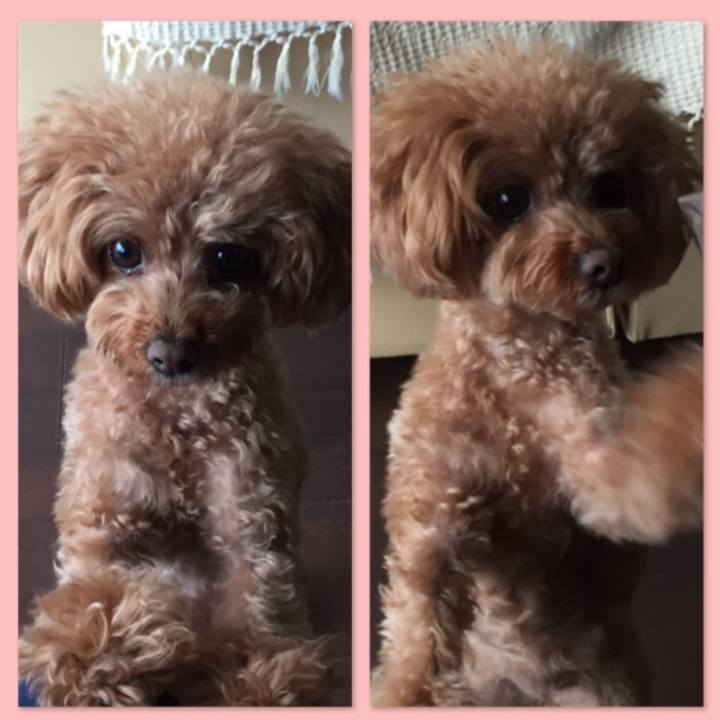 F1dface9 b506 41ed 99ae 73e3d61dbe41