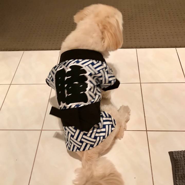 F1dfd107 8f63 4d3a ad2a 4d248e3d29f6