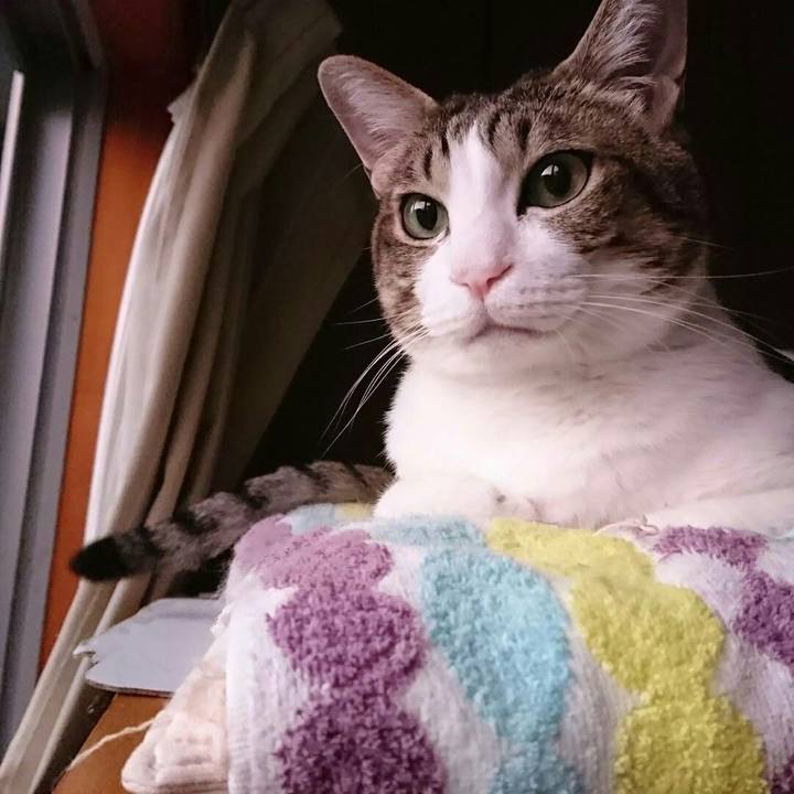 F1e0198d f229 4156 8c61 a0eafa2c61df