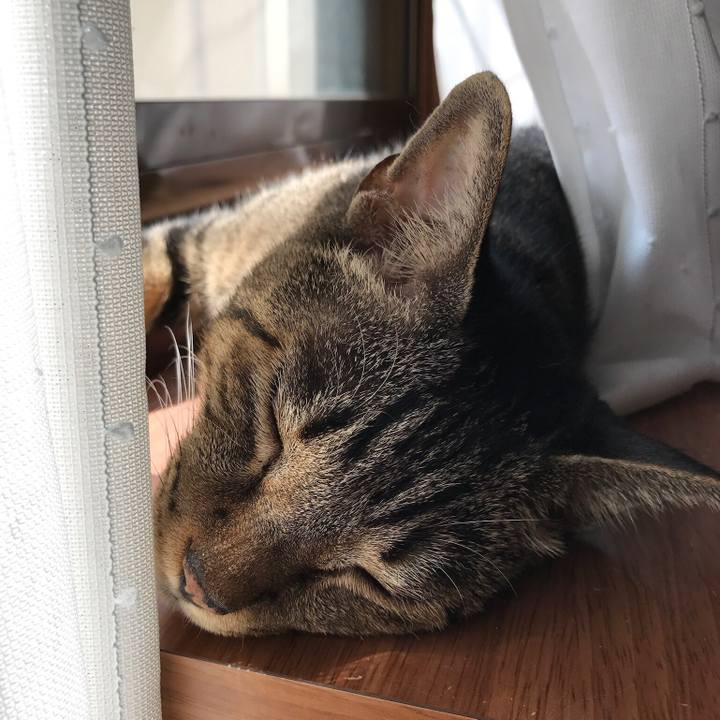 F1e0f51b 489b 49d1 9c27 0cfdd843c3e3