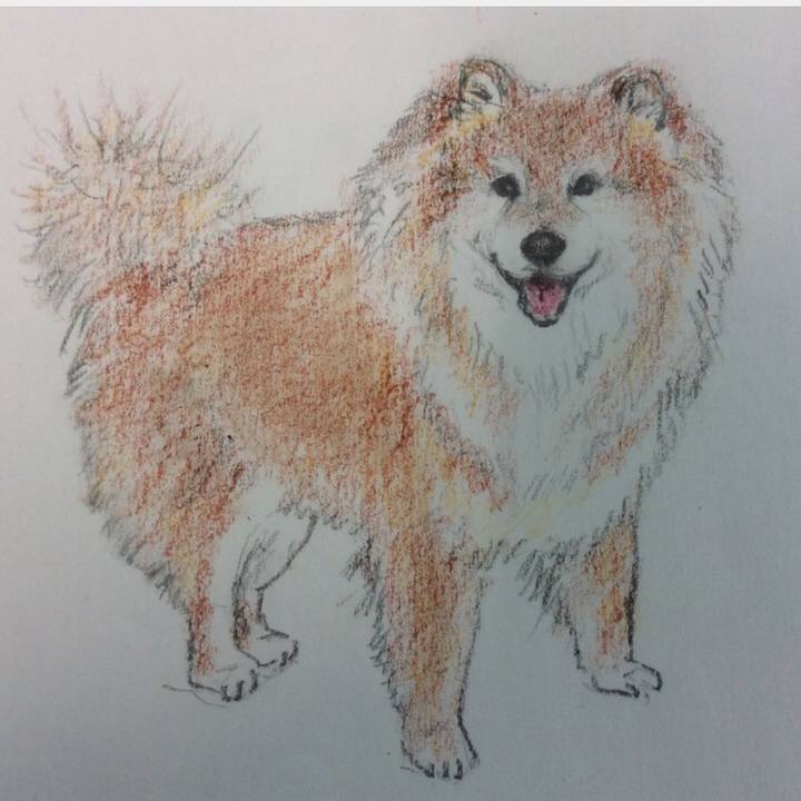 F1e15a3f f53a 4263 b917 68cc82729139