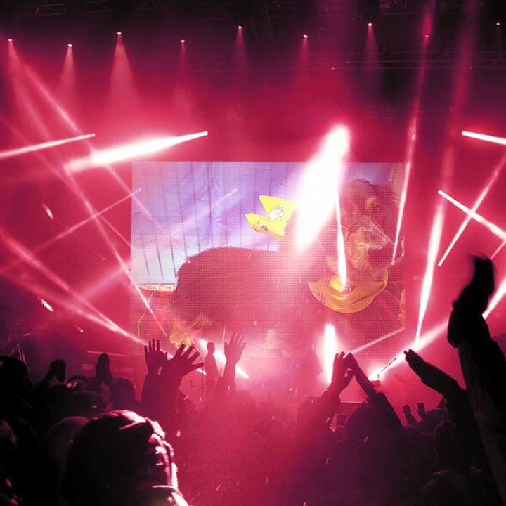 F1e1912c df89 4329 95d1 f0dc30aae223