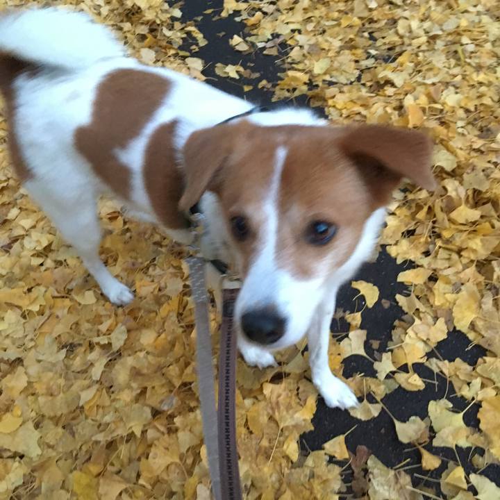 F1e2542b d532 409a ad33 95fe77a395ef