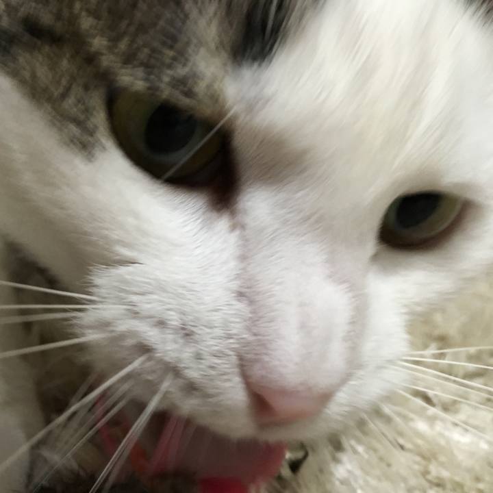 F1e2d918 ec2e 4ce0 be84 0fb282742a83