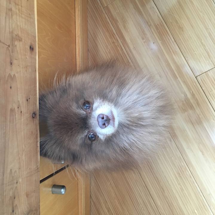 F1e2df48 b091 4e0e 994b c9e6b3c5f8dd