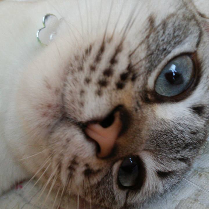 F1e30acf 2699 4c97 b20d a1b1adef629d