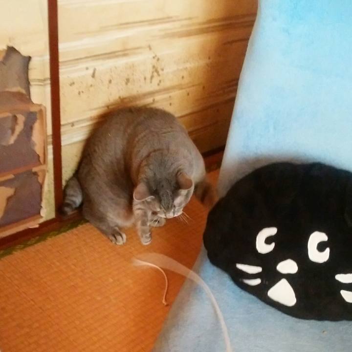 F1e32635 7b96 46bf b772 c0953723b1c7