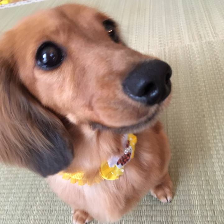 F1e3d074 0e42 4457 95b5 a058f775bc64