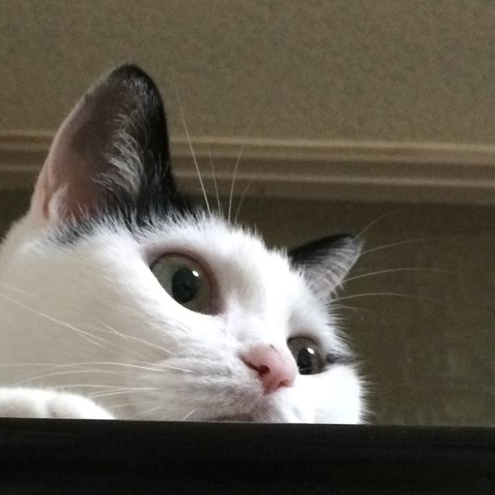 F1e4cfeb 600a 4ebb 8a1a c591aa7b4995