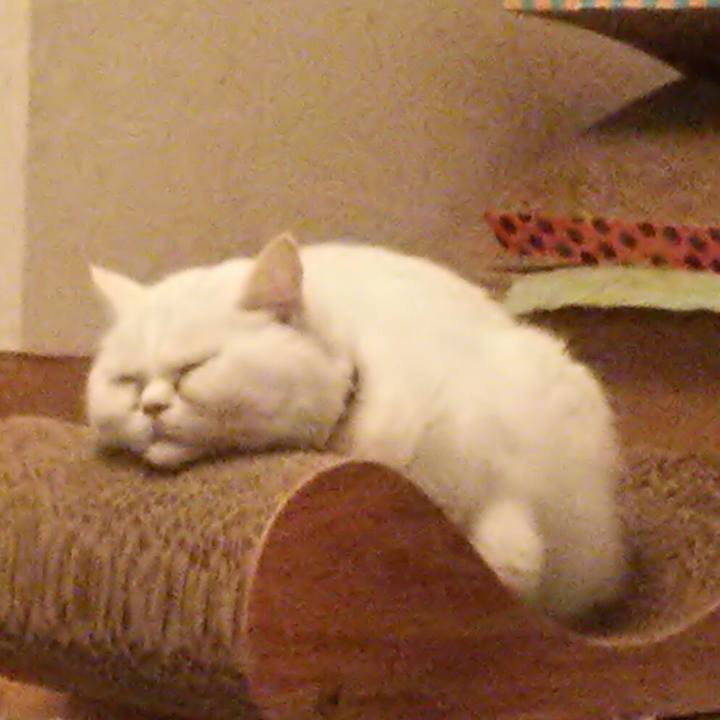 F1e4d181 01f7 4033 b6a8 6a2342fa7dae