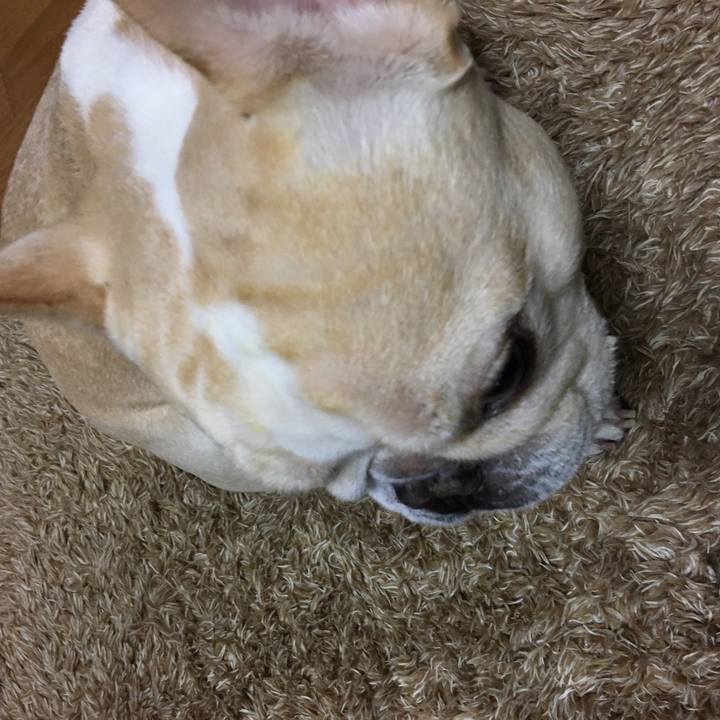 F1e4e042 76f8 42f5 ac63 1a5e9872335b