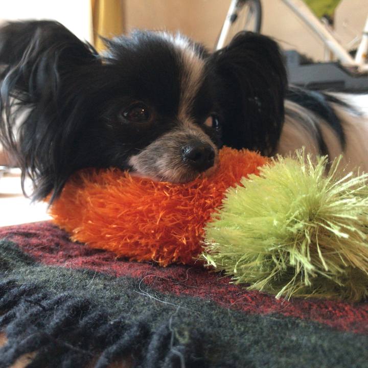 F1e586a3 8a7f 467d bd4f f4e409ba8d49