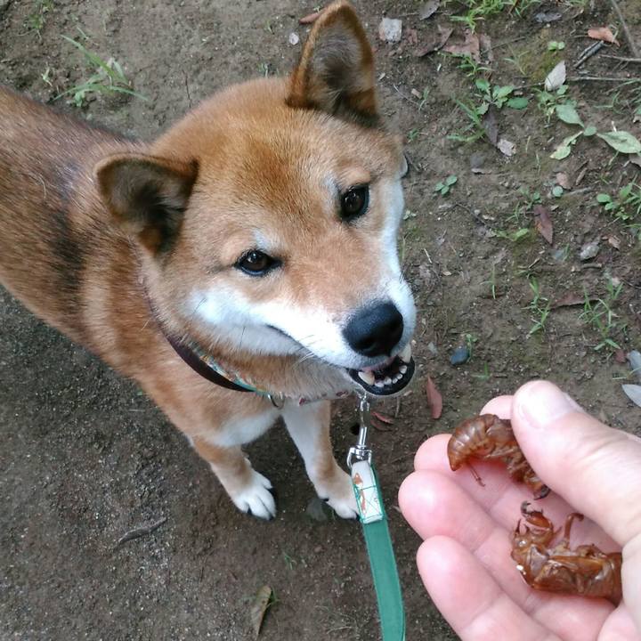 F1e5df71 cae6 4bf9 9dda 6ce3e71405cc