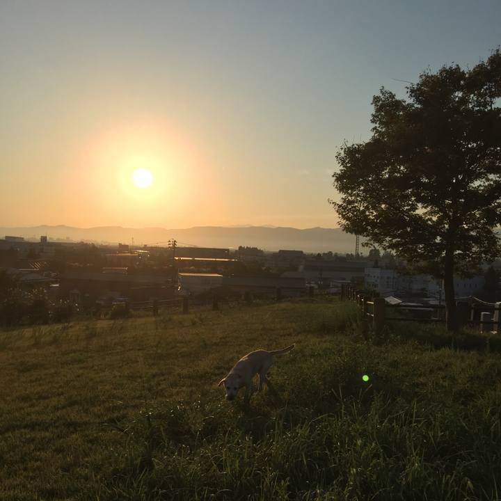 F1e6c88e b238 4b0e bc0d d8b34b7f6642