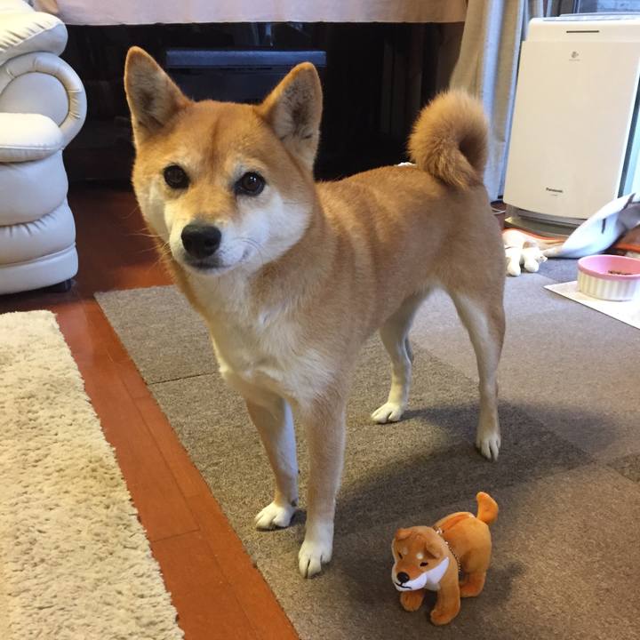 F1e7784e c6e0 4069 be68 a2352e40b3be