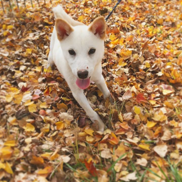 F1e7cf42 59b2 45e2 9679 e9269791da1e