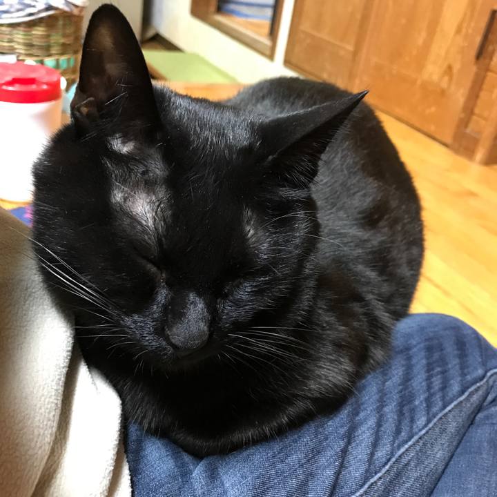 F1e88bdb 3dff 4217 8bef 342bf7425a42