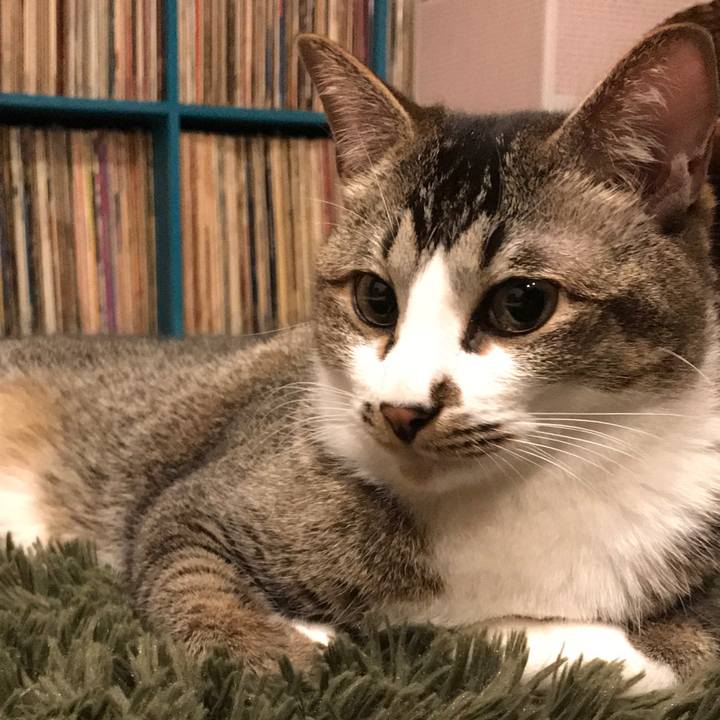 F1e89277 26c1 4497 b79e 7ea6f425ad0e