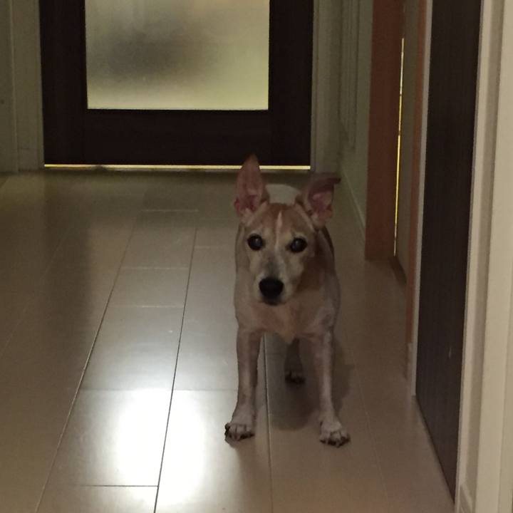 F1e8e92d c9c2 43b2 9bb3 79e580c717e7