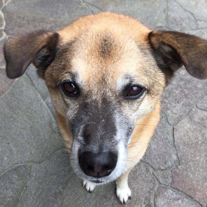 F1e92115 dd39 46fc b6f9 d2a4e6ca4aa4