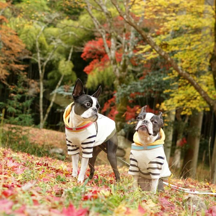 F1e94e88 147b 4c8b bb4b a895d740005d