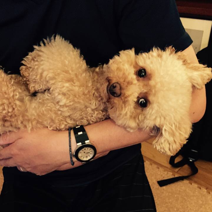 F1ea15f9 cdb6 4671 acb9 e304d8d7476d