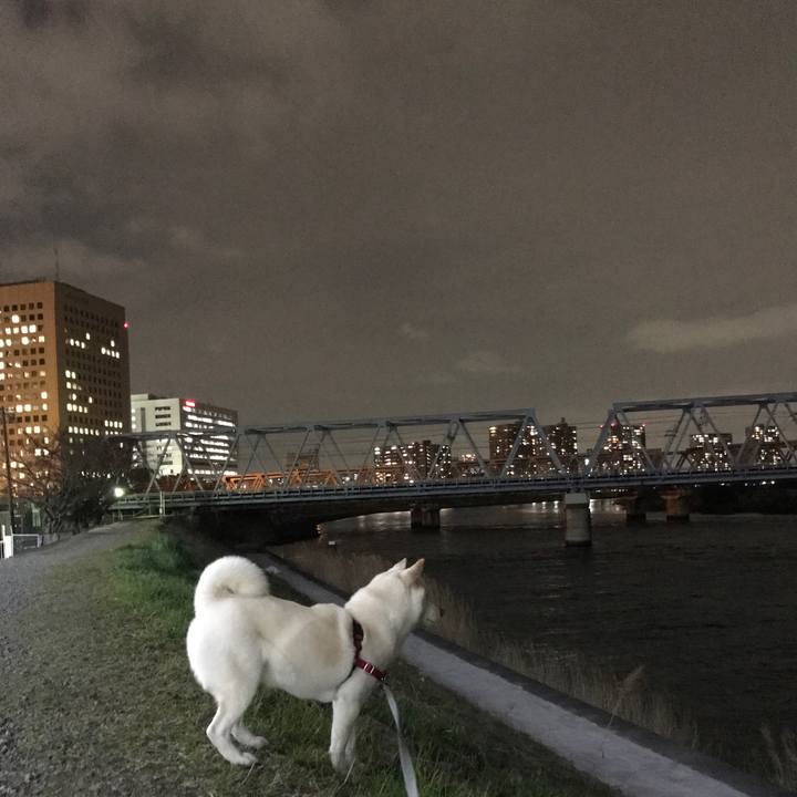 F1ea5013 441d 47de 9757 0b35e461e5e7