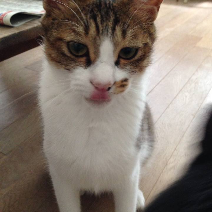 F1eb1a2f 0383 4182 8015 a2ba0e831787