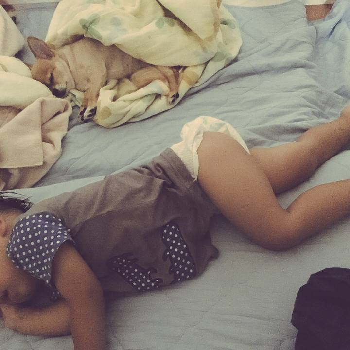 F1eba55c 1b47 41ee 9def ff85463e4794