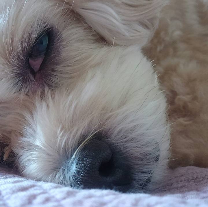 F1ec14db f8db 46a9 a845 0003de4638e1