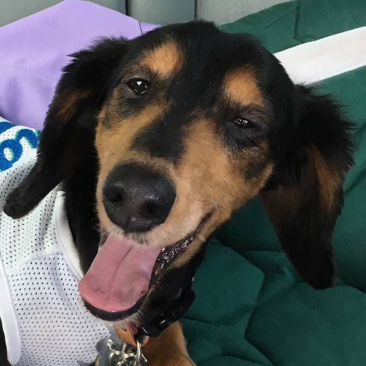 F1ec5f2f b935 45bf 96ba da072a35c547