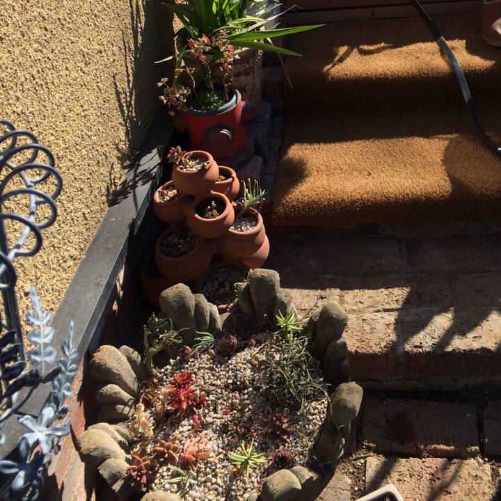 F1ec7471 4ba4 4701 9c95 5a376dd334c7