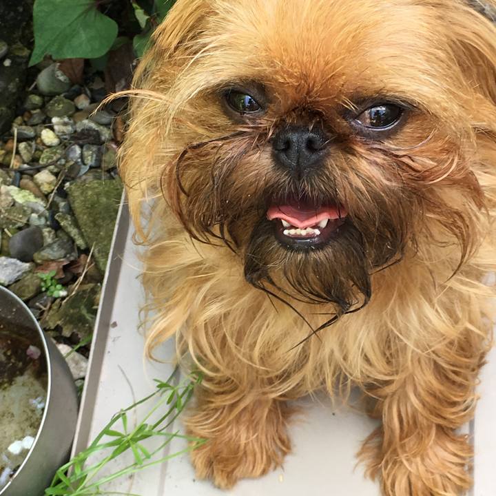 F1ecfe47 f867 456c b3e0 808bcd6c69d2