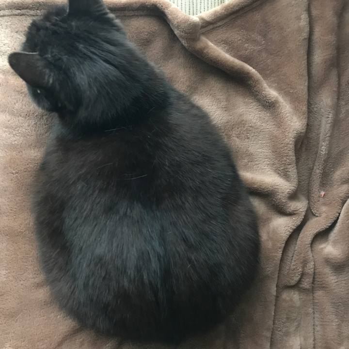 F1edd34b ea93 40ea 9424 f7c760bf2e0f