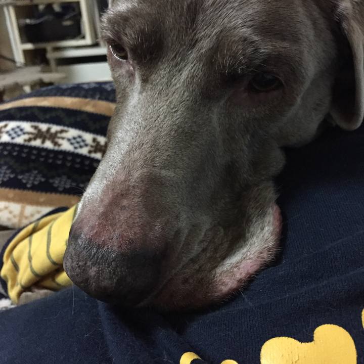 F1edfb45 8019 45db b3d4 d6768f052ca6