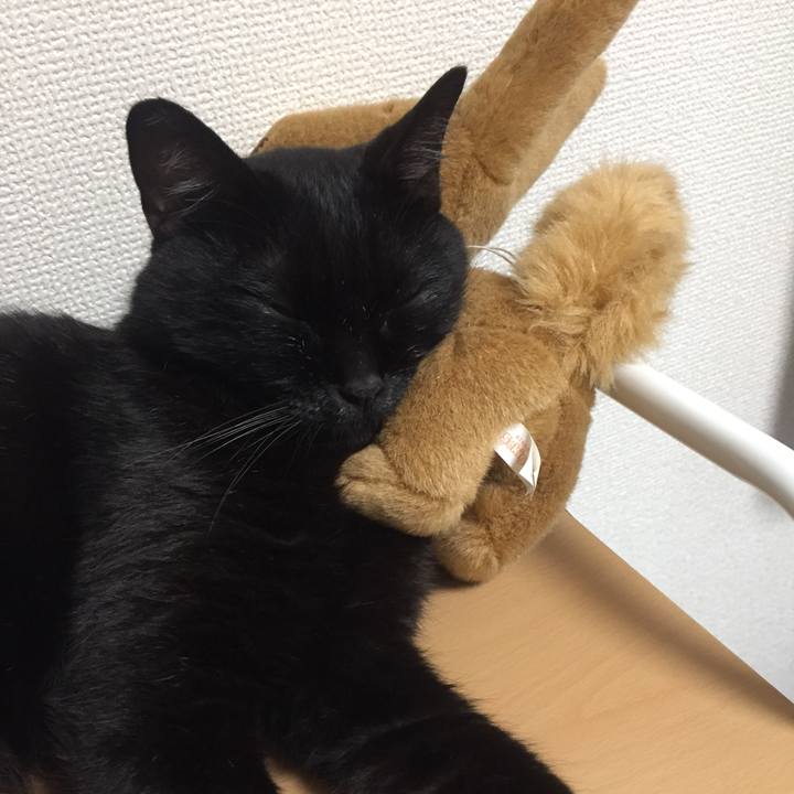 F1ee4a7c 2918 40bd 8c75 f18185688260