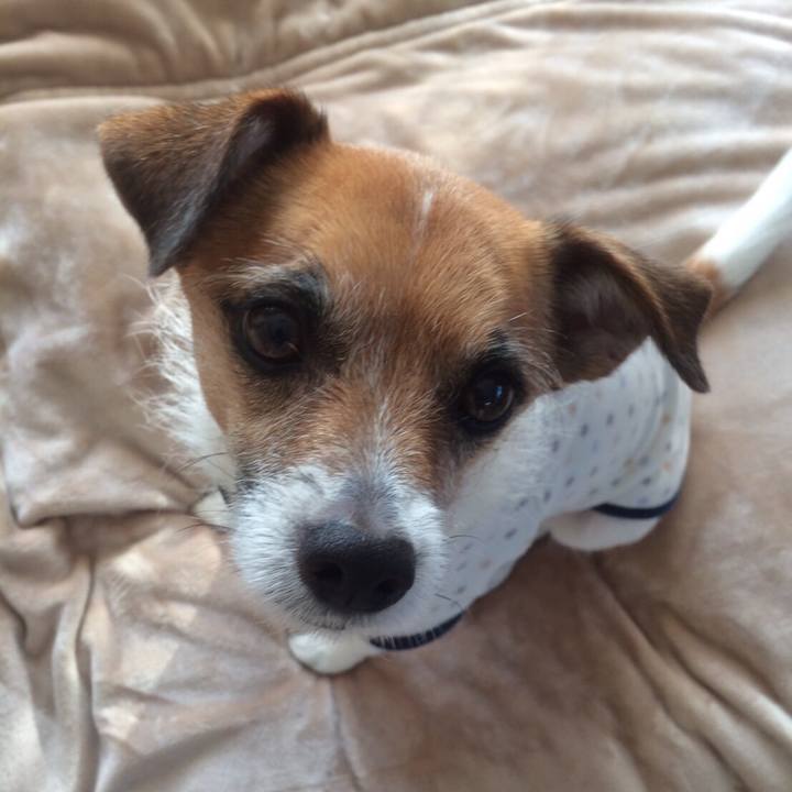 F1ee7640 50b7 410b 8225 e8f2d039e53b