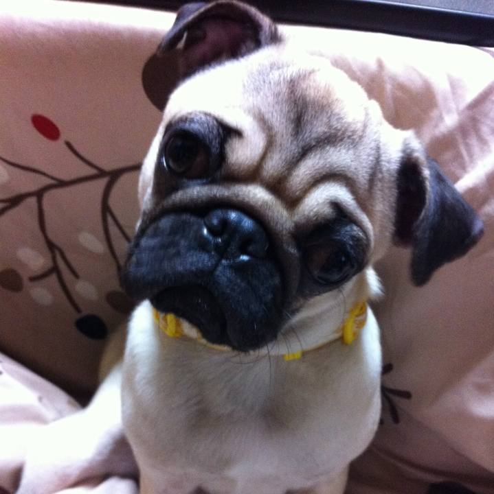 F1ee8e37 a775 4f07 843c 72a5f94f75cc