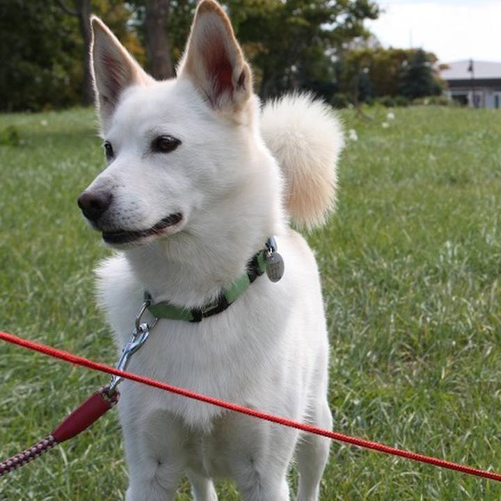 F1ef197f 2e54 4d80 b0ee 1863a1d418e1