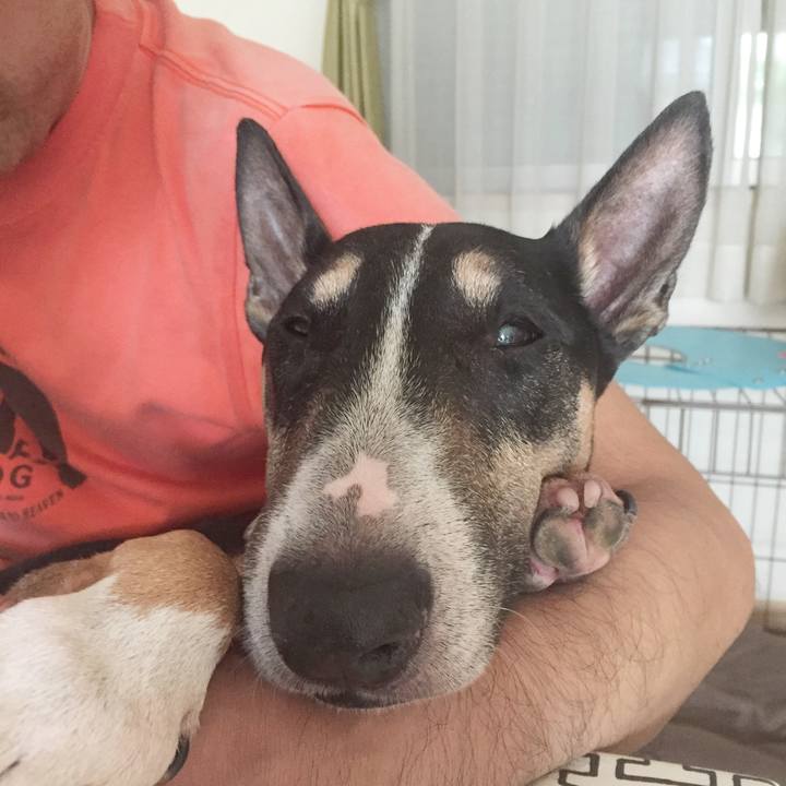 F1ef4a28 ed7f 41ee 9b9b b7a429d48adc