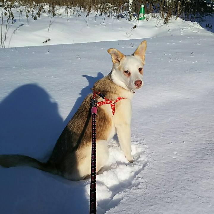 F1f02111 aac9 4089 b592 844300d9ab79