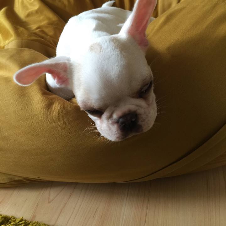 F1f09d98 149c 406d bd09 9d49fcb5b879