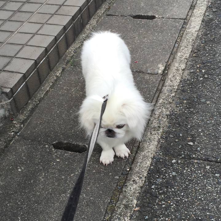 F1f0a961 3f03 4727 82f6 66b90c63aa93