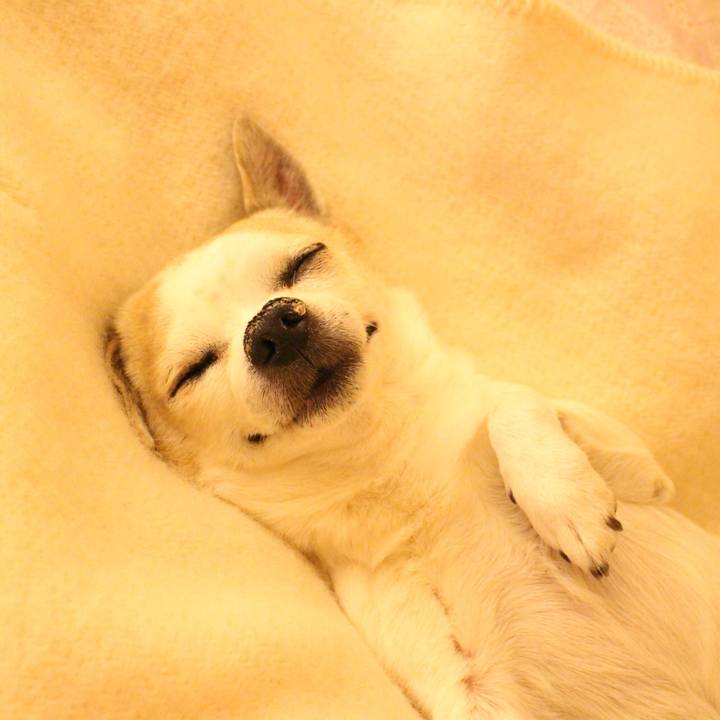 F1f1542b 1804 4373 8ba0 a7abee898b32