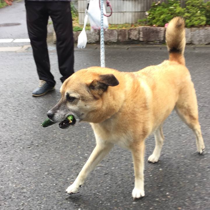 F1f1880f e0d8 451f be27 b5ff354648cb