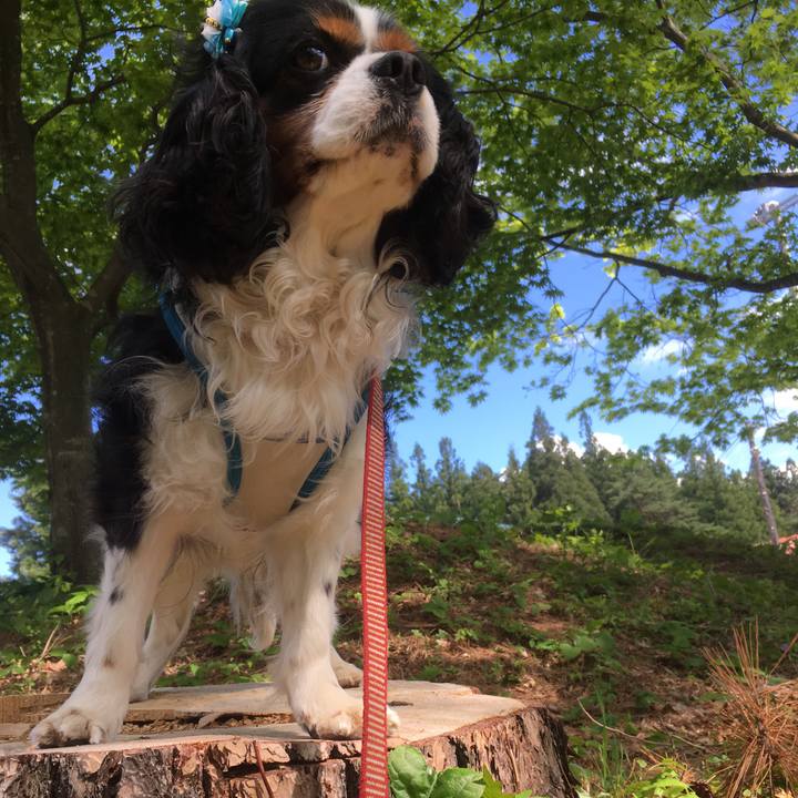 F1f1914e 49ff 43e6 8e3e 42c5481d528e