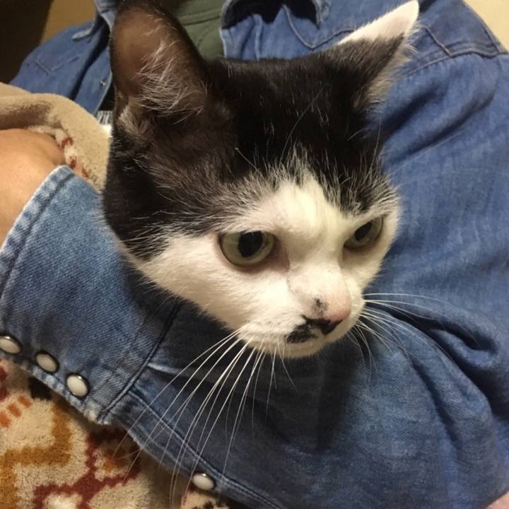 F1f256d3 b691 47cf a1ba dba6313bc0c7