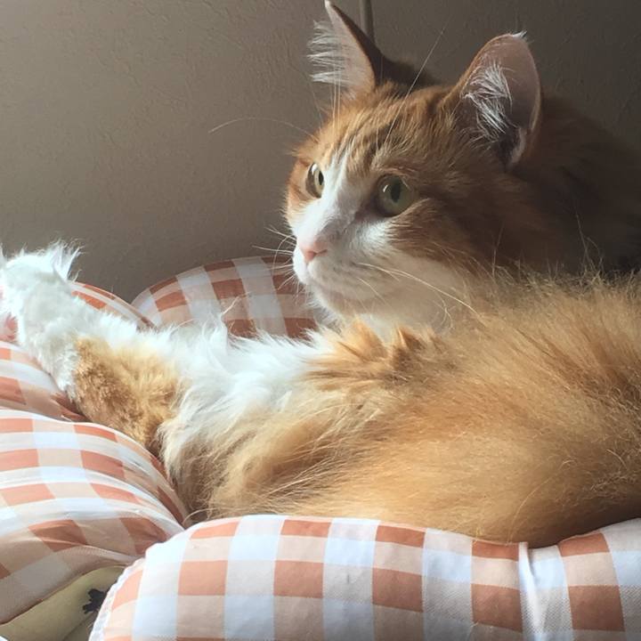 F1f2702f 0776 4461 b7e9 2c804e42cc54