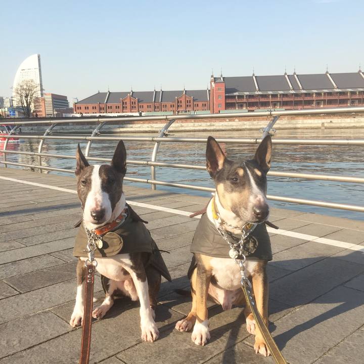 F1f28667 45aa 4d3d bf16 ed0e32c6d80c